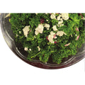 Organic Kale Salad
